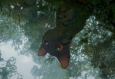 Flow by Gints Zilbalodis (Janus Films)