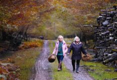 When fall is coming by François Ozon (Music Box Films)