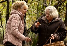 When fall is coming by François Ozon (Music Box Films)