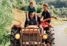 Holy Cow by Louise Courvoisier (Zeitgeist Films in association with Kino Lorber)