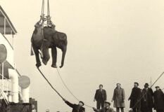 Soundtrack to a Coup d'Etat by Johan Grimonprez (Kino Lorber)