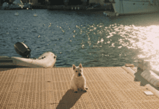 Affection Affection by Maxime Matray & Alexia Walther