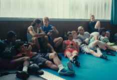 Wild Foxes by Valéry Carnoy © The Party Film Sales